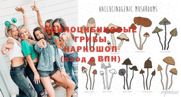 spice Алзамай