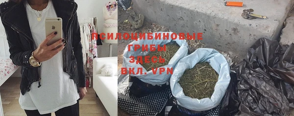 spice Алзамай