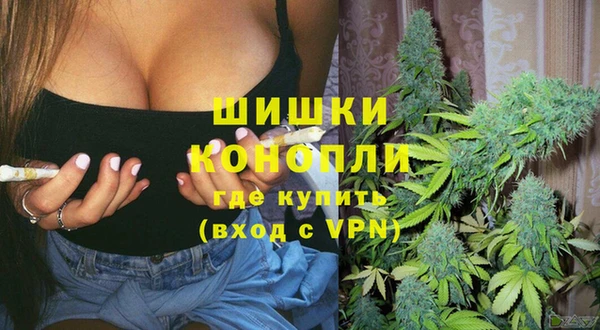 spice Алзамай