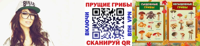 Галлюциногенные грибы Magic Shrooms  Далматово 